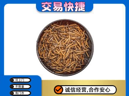 吉首市高价回收散虫草